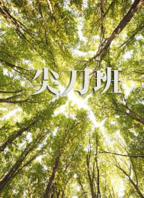 午夜在线资源